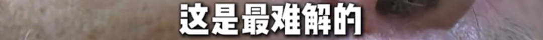 米兰体育葡媒:巴西边锋保利尼奥