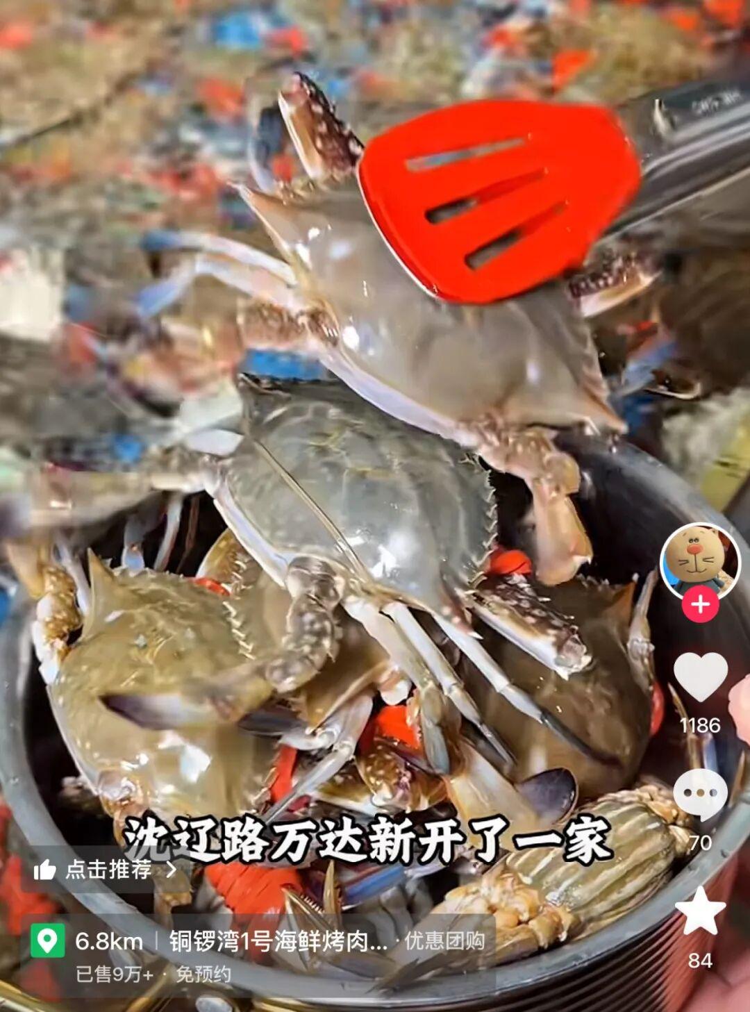 米兰体育-野百合的春天,二轮秀出身带队拿总冠军+FMVP,布伦森比肩约基奇