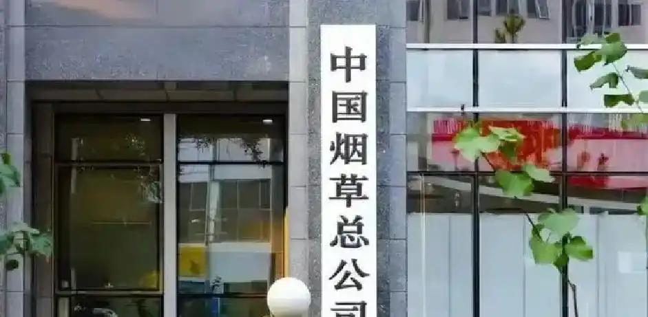 凯恩等英格兰球员遭美国球迷“忽悠”,在独立宣言上签了字